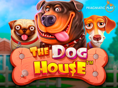 Преглед на играта The Dog House с сладки кучета и колибка в 3D стил